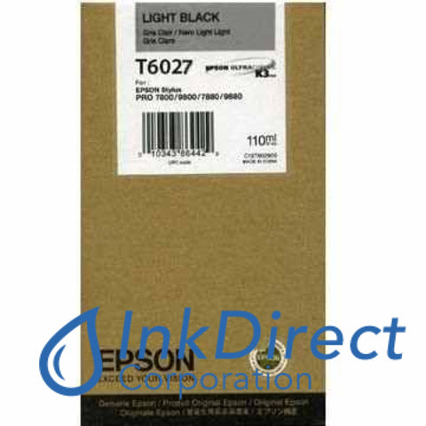 Genuine Epson T602700 T6027 Ink Jet Cartridge Light Black